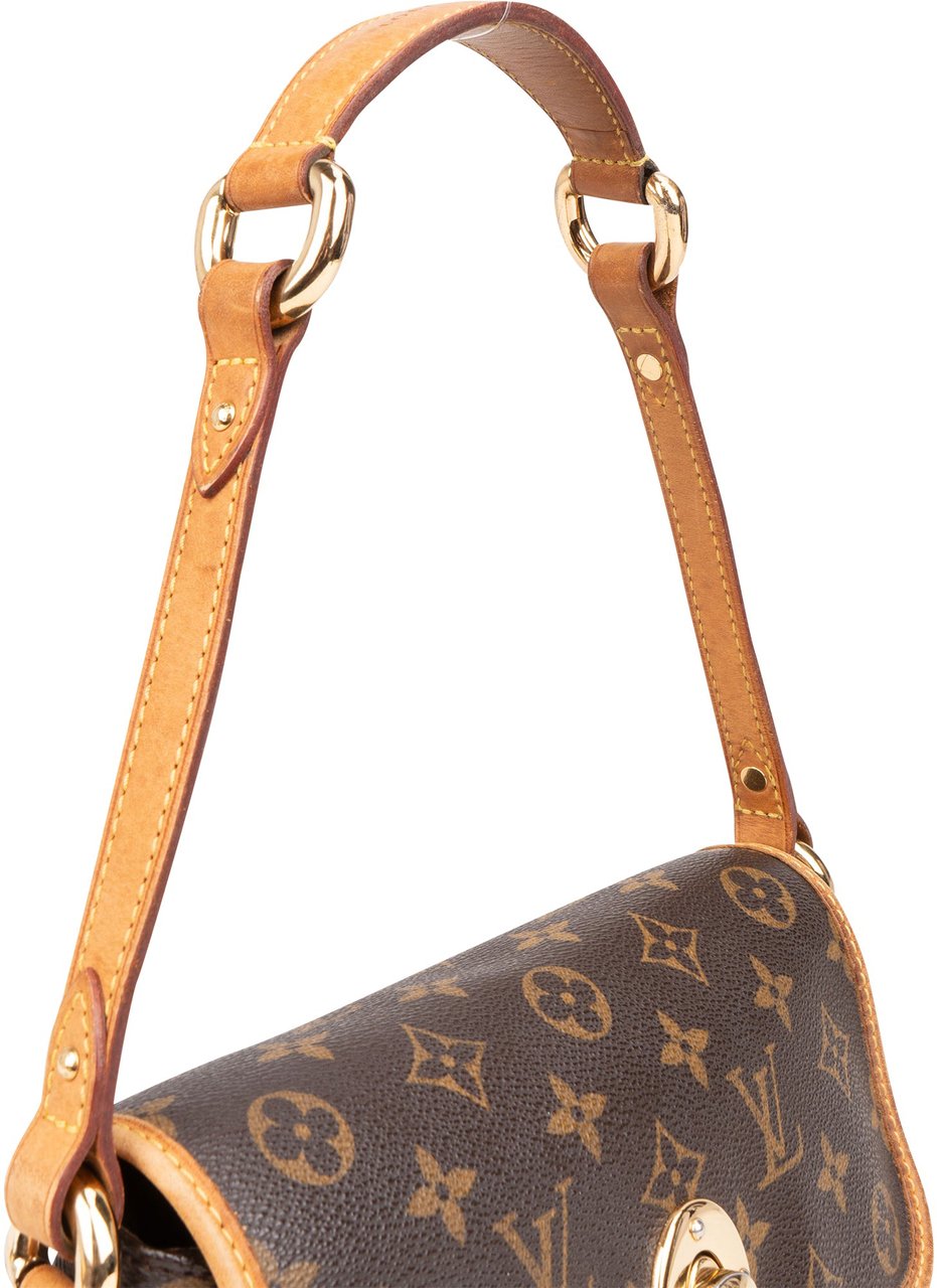 Louis Vuitton Louis Vuitton Canvas Monogram Tikal PM Shoulder Bag Bruin