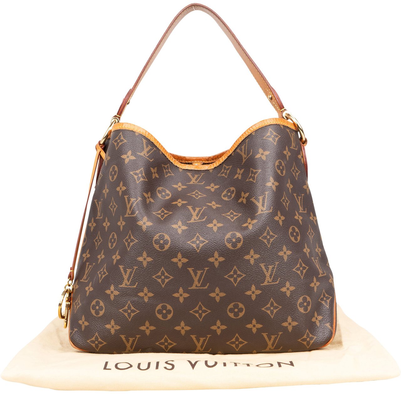 Louis Vuitton Louis Vuitton Canvas Monogram Delightful PM Shoulder Bag Bruin
