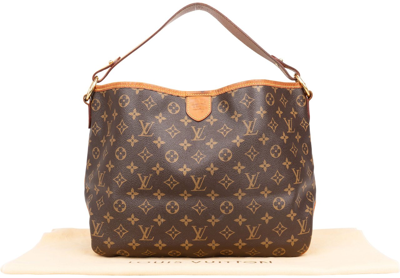 Louis Vuitton Louis Vuitton Canvas Monogram Delightful PM Handbag Bruin