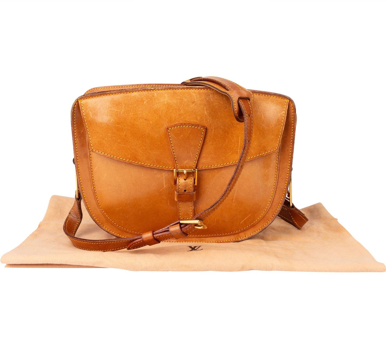 Louis Vuitton Louis Vuitton Rare Nomade Leather Jeune Fille GM Crossbody Bag Bruin