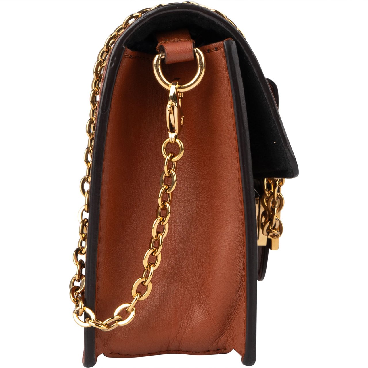 Louis Vuitton Canvas Monogram Dauphine Wallet On Chain Crossbody Bag Bruin