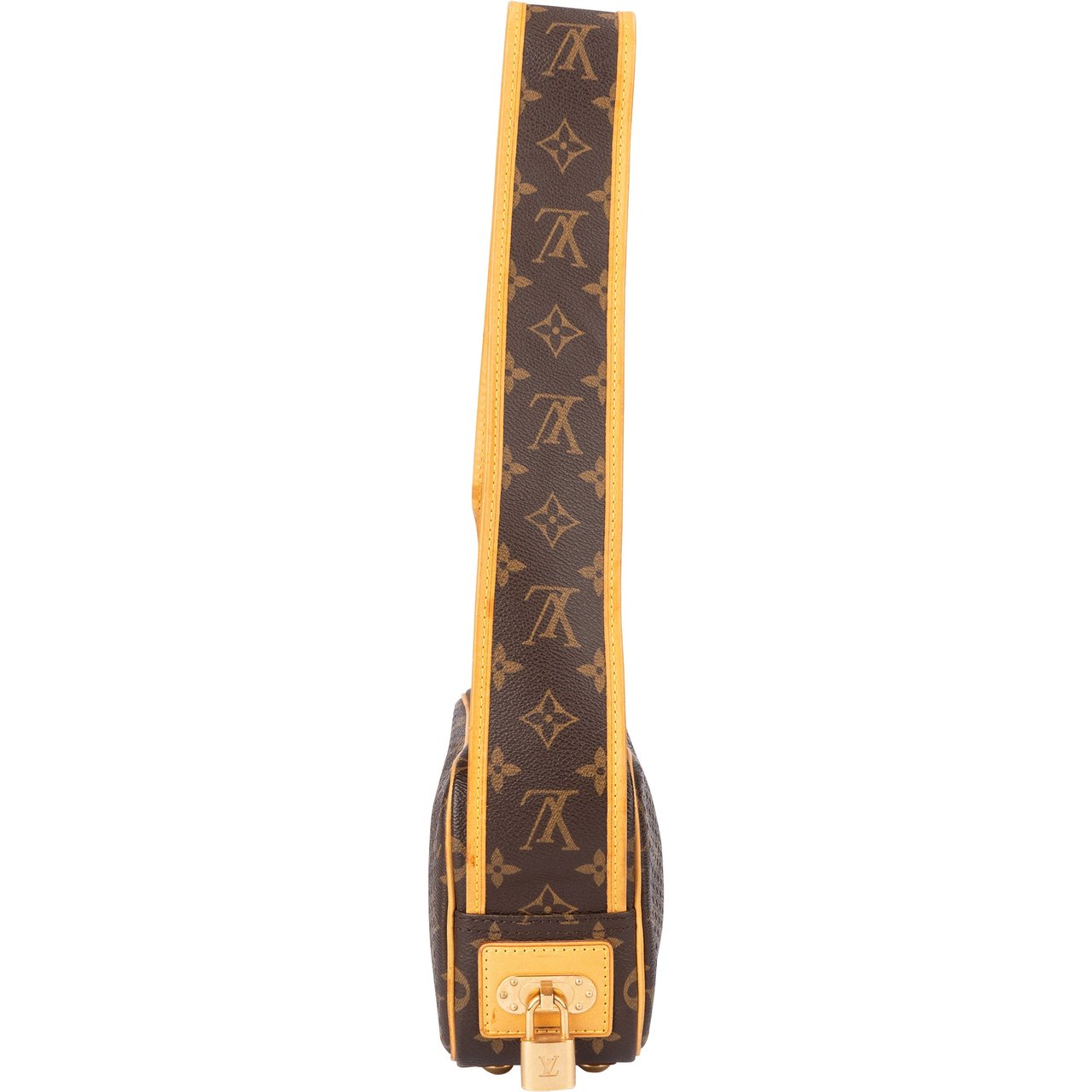 Louis Vuitton Louis Vuitton Perforated Monogram Trocadero Shoulder Bag Bruin