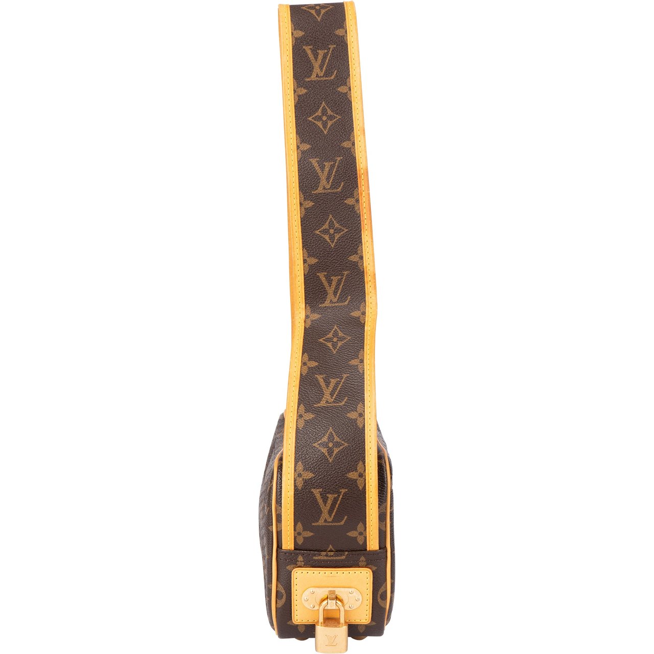 Louis Vuitton Louis Vuitton Perforated Monogram Trocadero Shoulder Bag Bruin