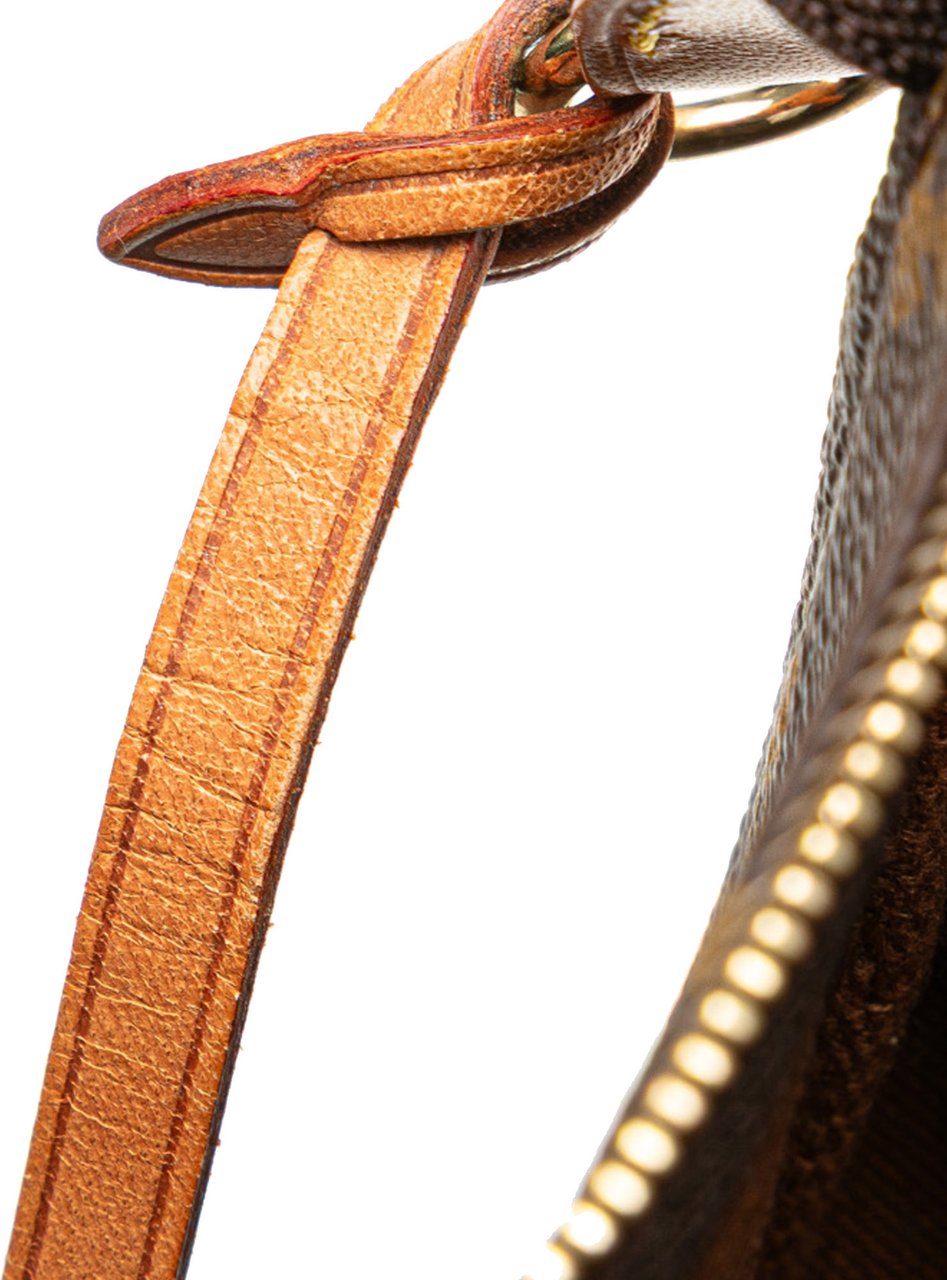 Louis Vuitton Monogram Pochette Accessoires Bruin