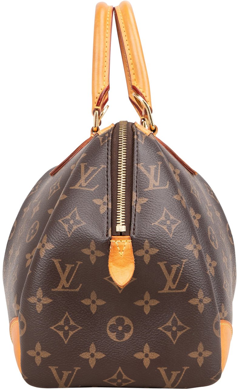 Louis Vuitton Louis Vuitton Canvas Monogram Segur PM Handbag Bruin