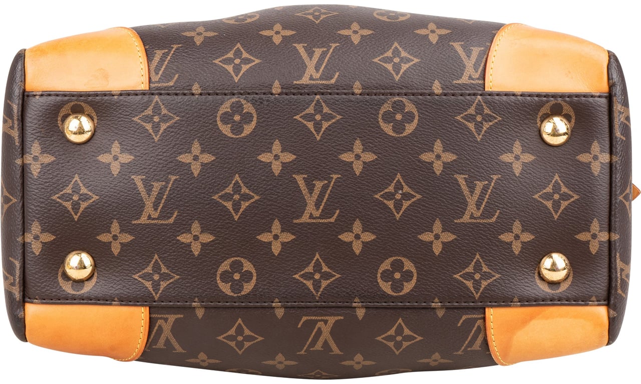 Louis Vuitton Louis Vuitton Canvas Monogram Segur PM Handbag Bruin