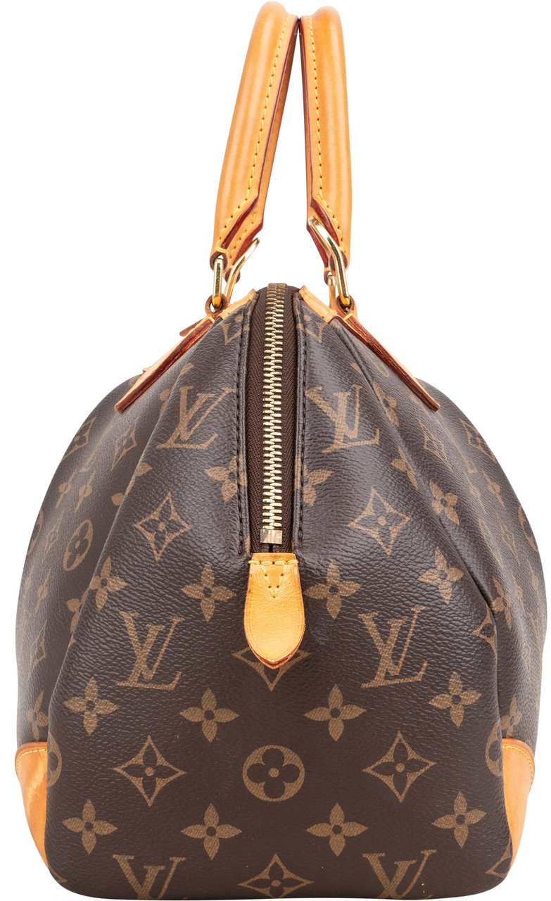 Louis Vuitton Louis Vuitton Canvas Monogram Segur PM Handbag Bruin