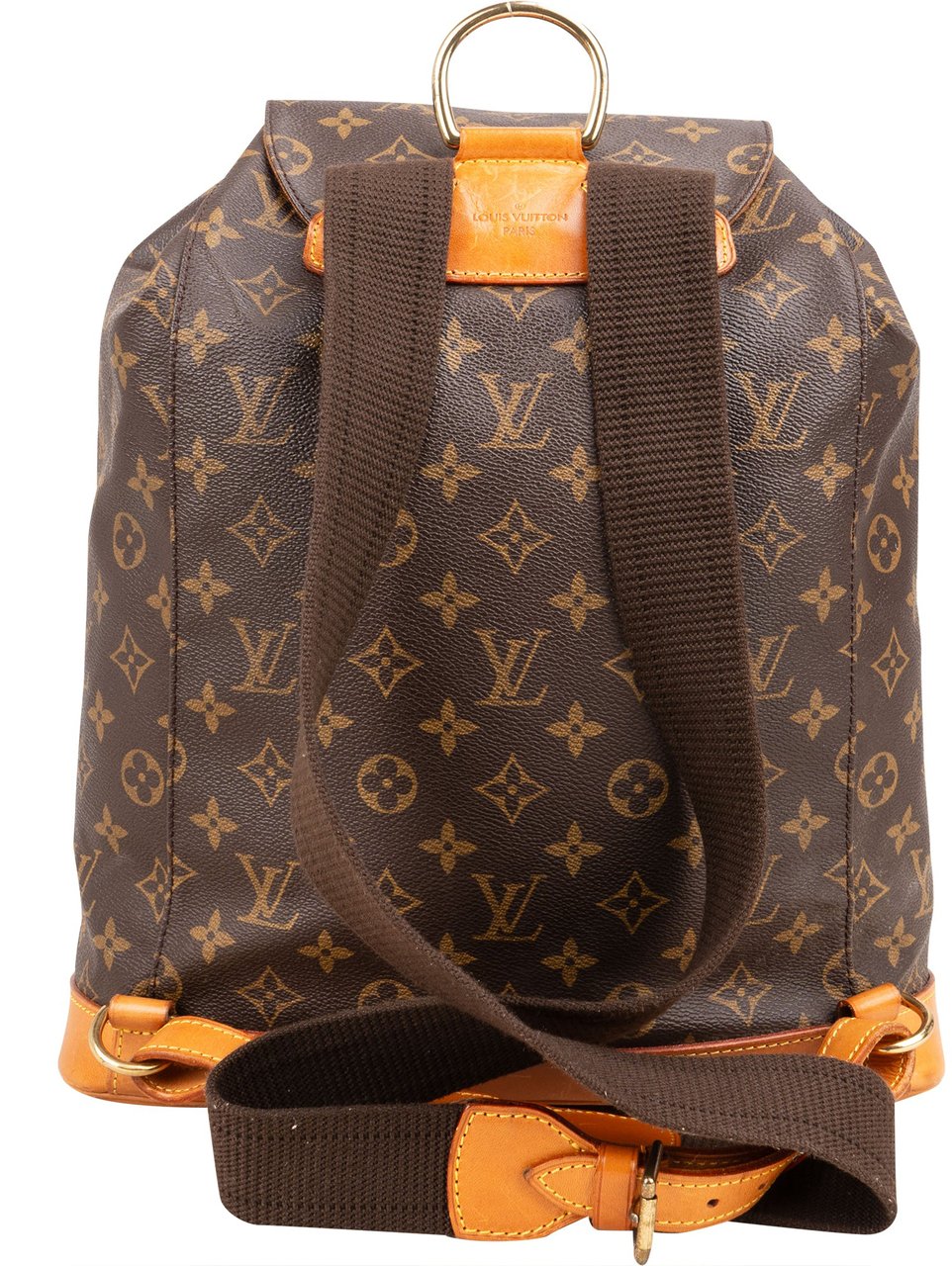 Louis Vuitton Louis Vuitton Canvas Monogram Montsouris GM Backpack Bruin