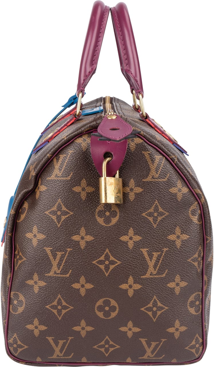 Louis Vuitton Louis Vuitton Monogram Canvas Totem Speedy 30 Handbag Bruin