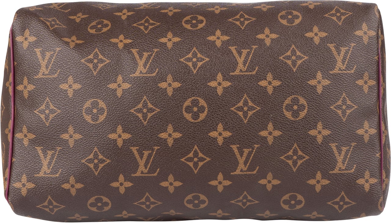 Louis Vuitton Louis Vuitton Monogram Canvas Totem Speedy 30 Handbag Bruin