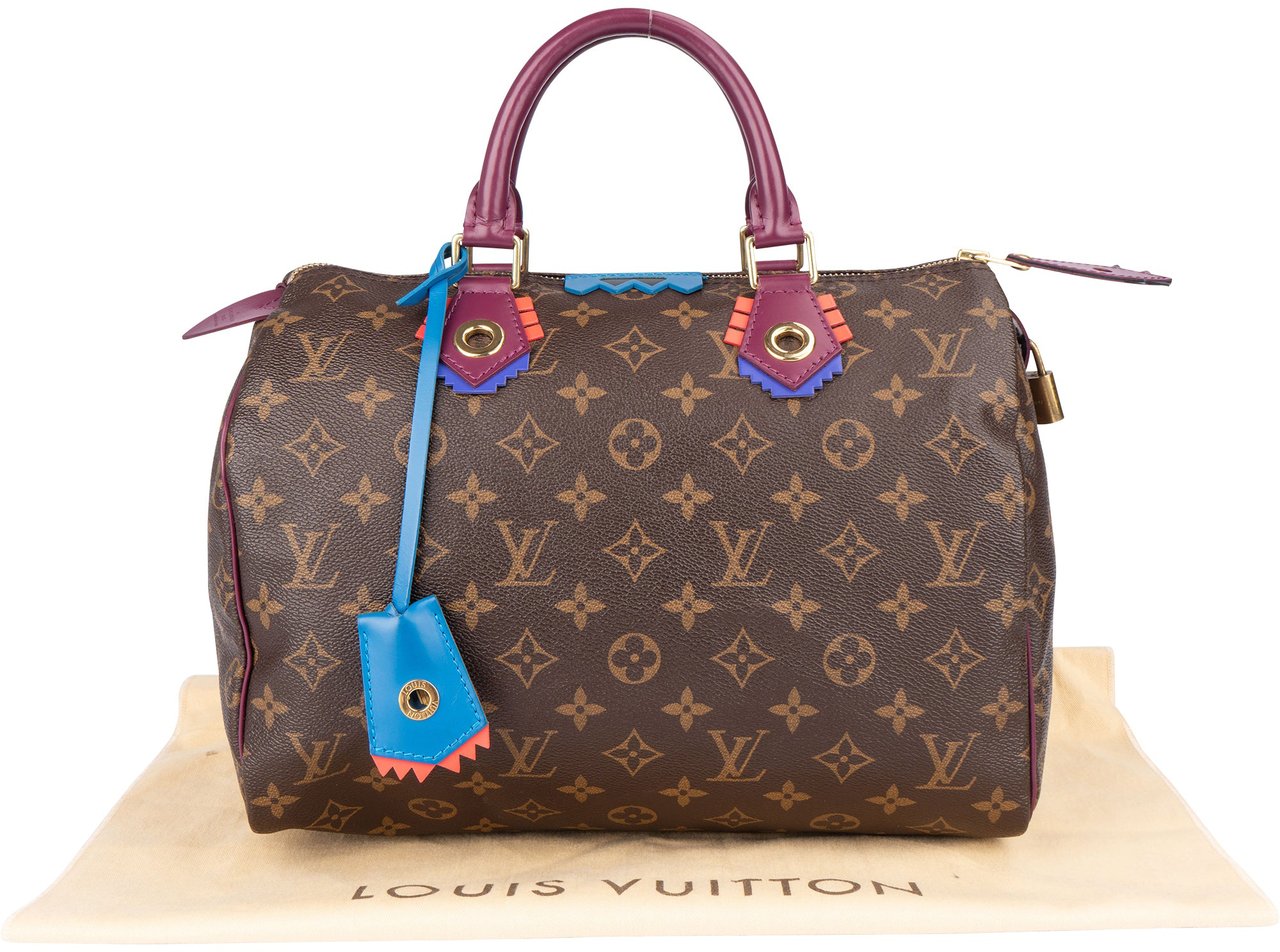 Louis Vuitton Louis Vuitton Monogram Canvas Totem Speedy 30 Handbag Bruin