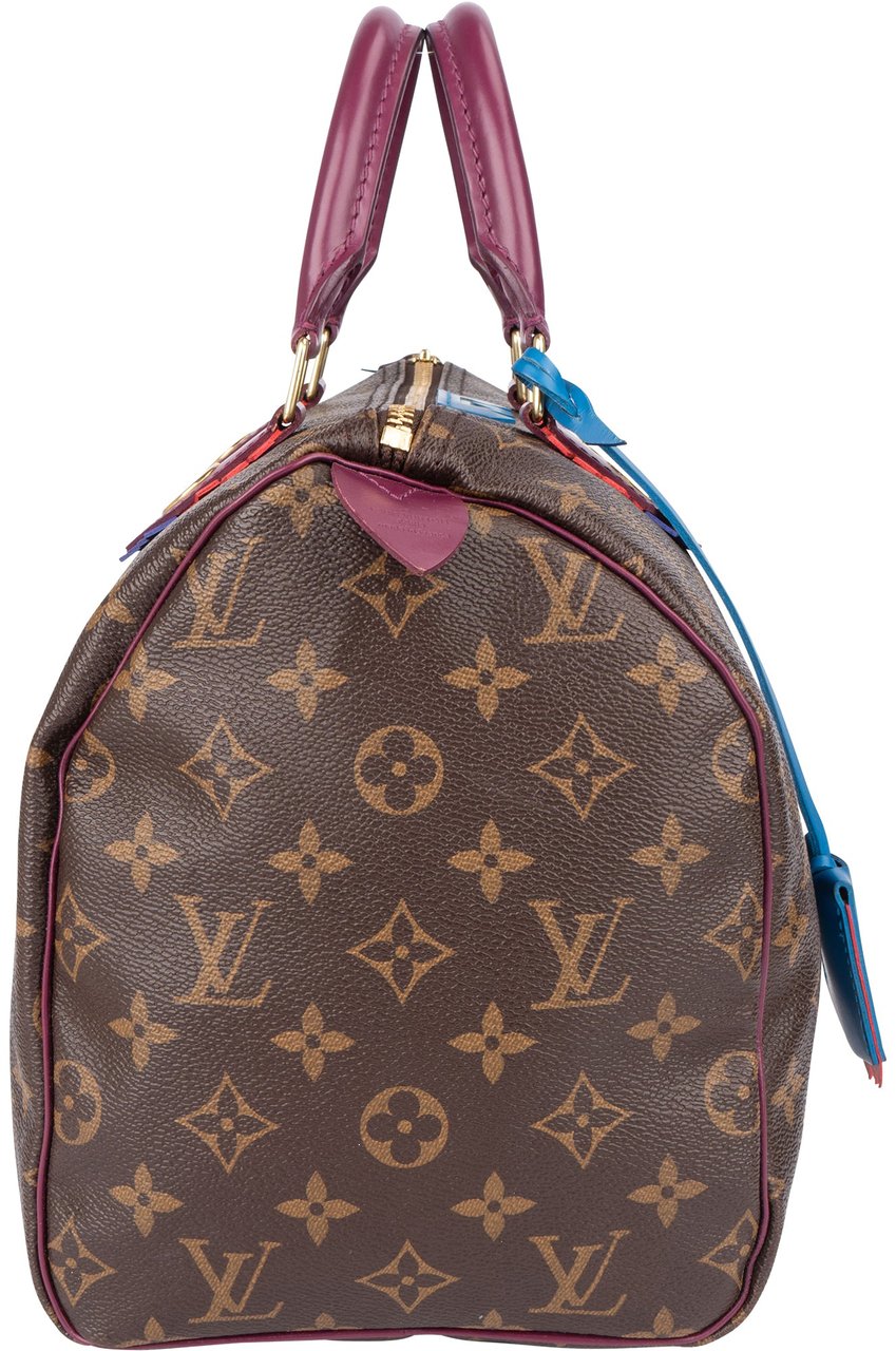 Louis Vuitton Louis Vuitton Monogram Canvas Totem Speedy 30 Handbag Bruin