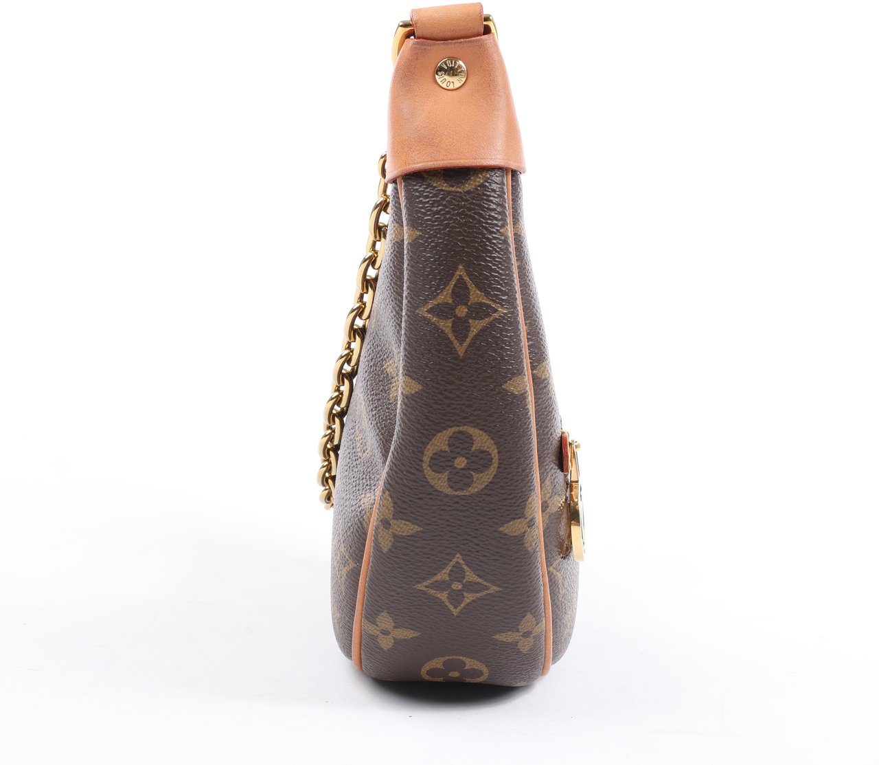 Louis Vuitton Louis Vuitton Monogram Loop Shoulder bag M81098 Bruin