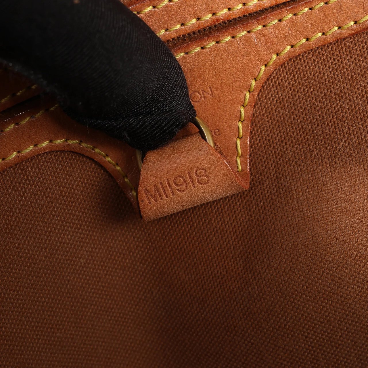 Louis Vuitton Louis Vuitton Monogram Canvas Ellipse Backpack in Brown M51125 Bruin