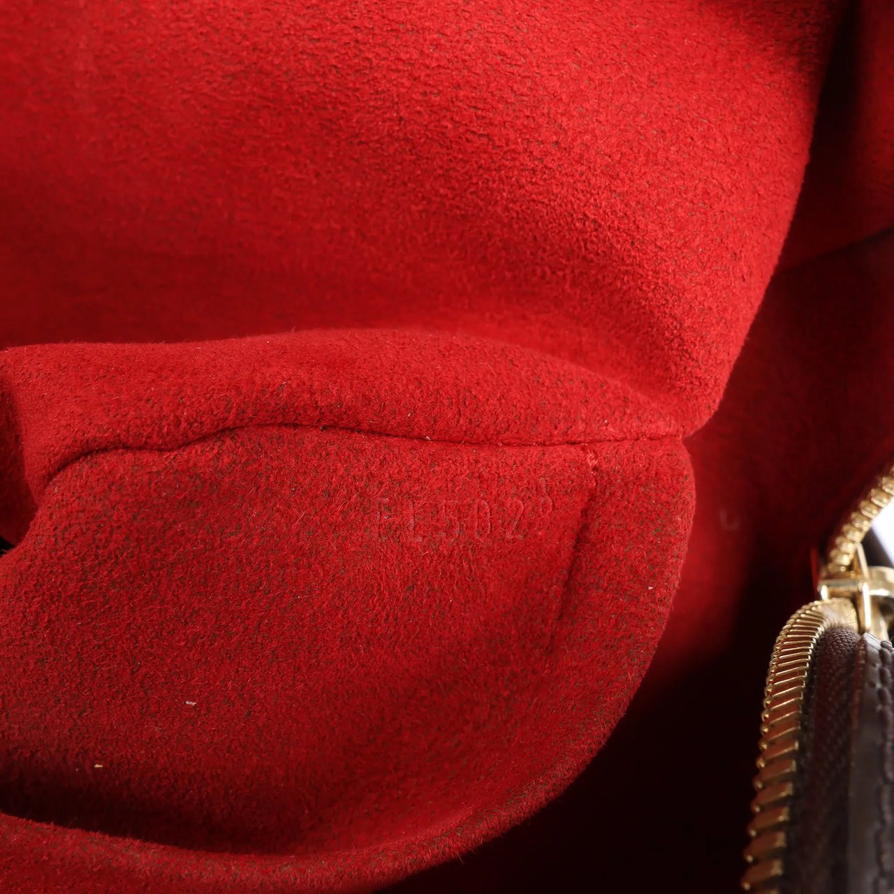 Louis Vuitton Louis Vuitton Damier Ebene Berkeley Handbag in Brown N52000 Bruin