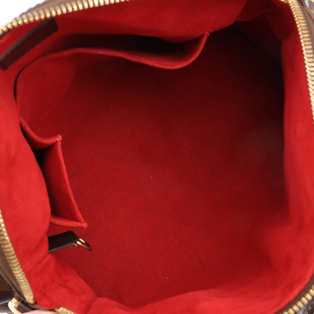 Louis Vuitton Louis Vuitton Damier Ebene Trevi PM Handbag N51997 Bruin