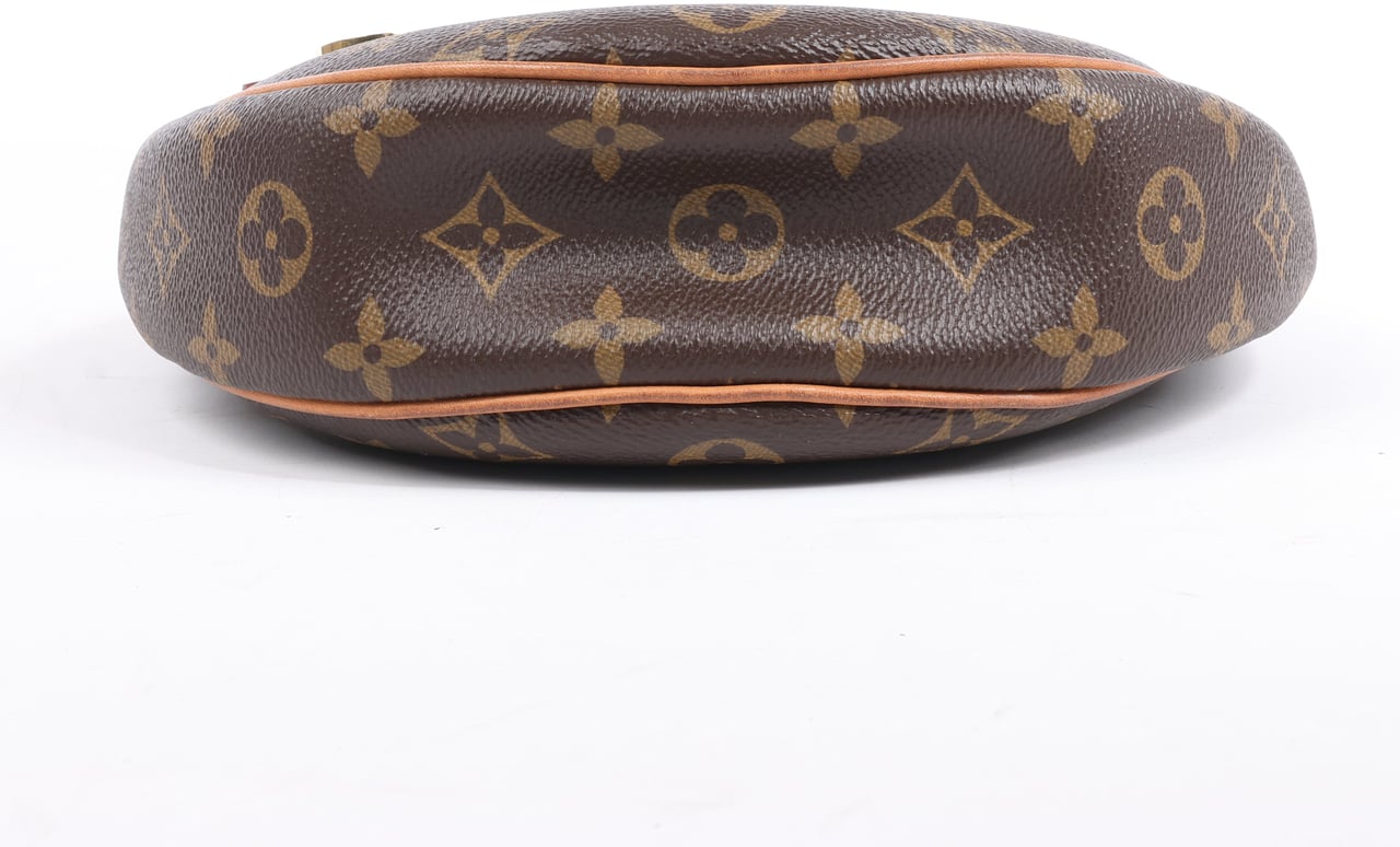 Louis Vuitton Louis Vuitton Monogram Loop Shoulder bag M81098 Bruin