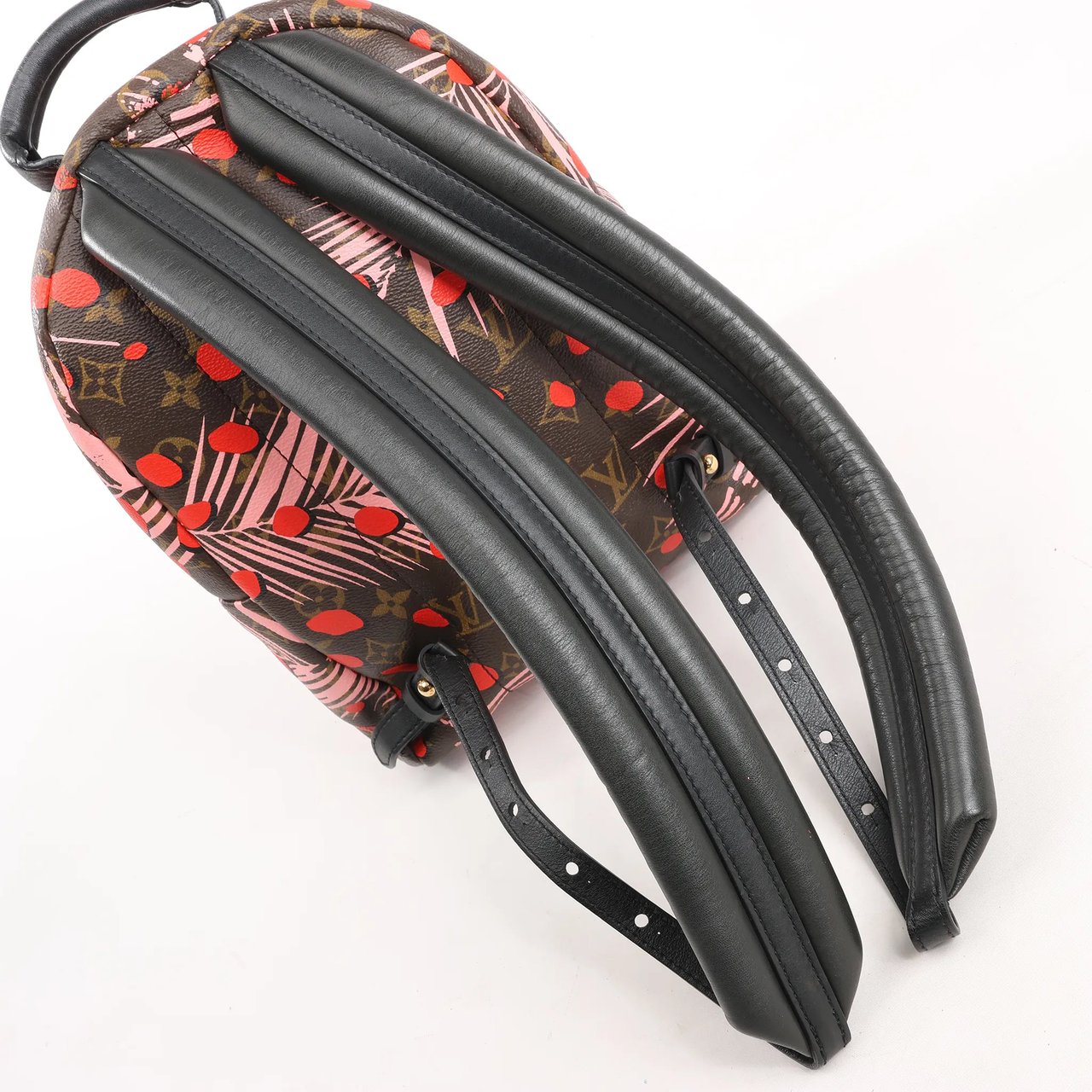 Louis Vuitton Louis Vuitton Palm Springs Monogram Jungle Dots PM Backpack in Brown x Pink Divers