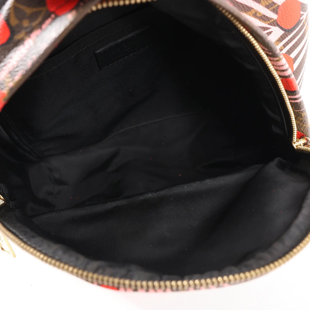 Louis Vuitton Louis Vuitton Palm Springs Monogram Jungle Dots PM Backpack in Brown x Pink Divers