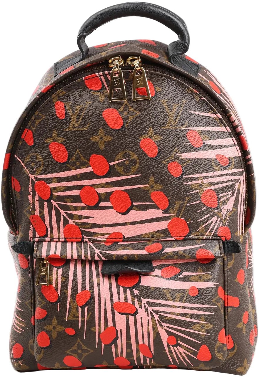 Louis Vuitton Louis Vuitton Palm Springs Monogram Jungle Dots PM Backpack in Brown x Pink Divers