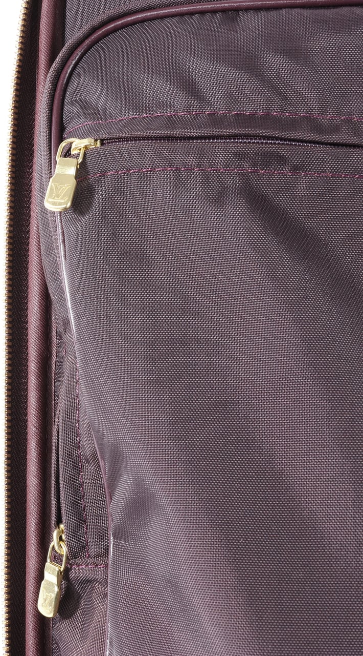 Louis Vuitton Louis Vuitton Taiga Leather Pegase 45 Travel Bag in Brown M23314 Bruin