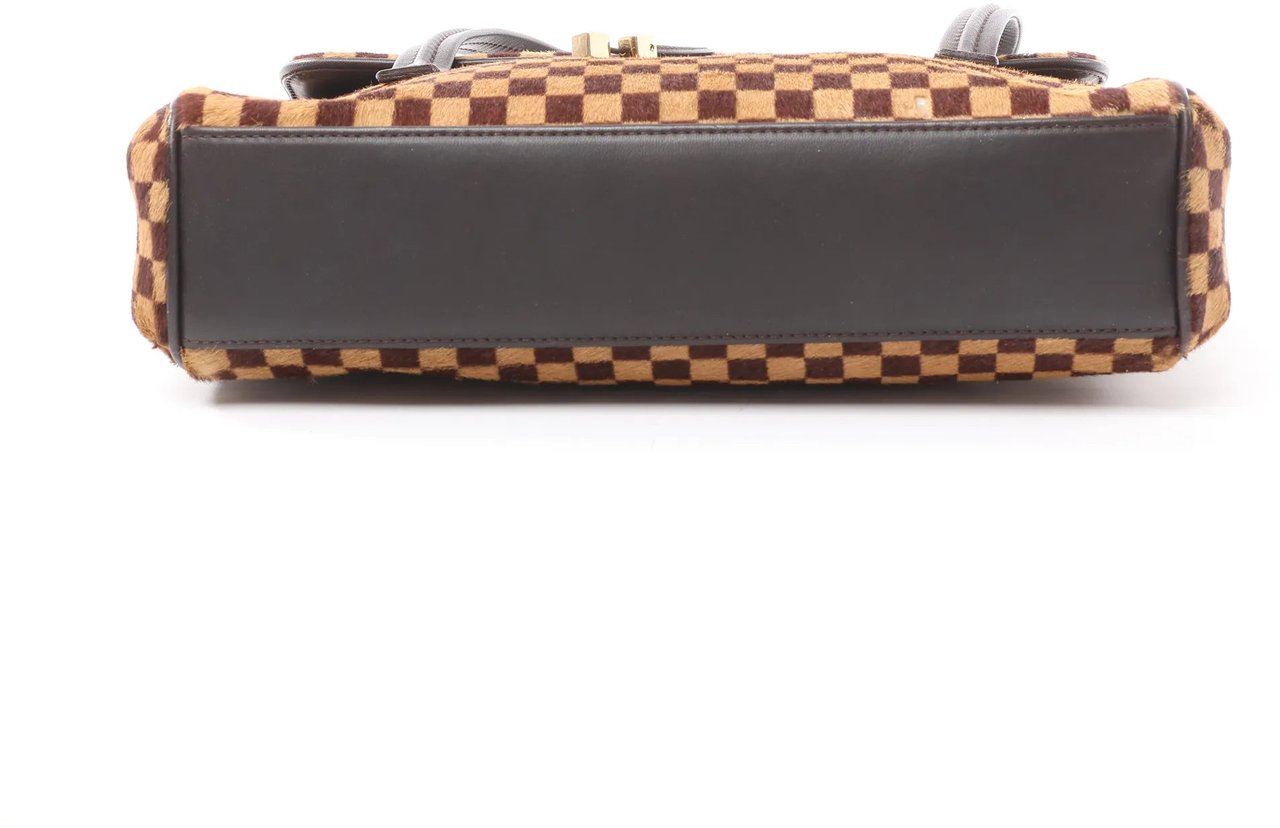 Louis Vuitton Louis Vuitton Lionne Damier Sauvage Pony-style Leather Handbag in Brown M92131 Bruin