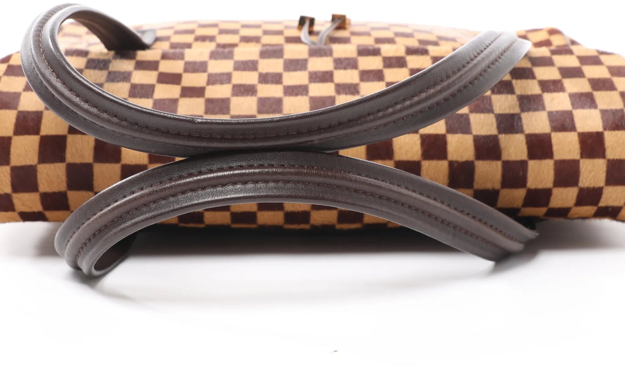 Louis Vuitton Louis Vuitton Lionne Damier Sauvage Pony-style Leather Handbag in Brown M92131 Bruin