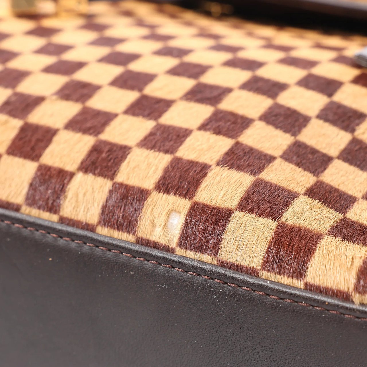 Louis Vuitton Louis Vuitton Lionne Damier Sauvage Pony-style Leather Handbag in Brown M92131 Bruin