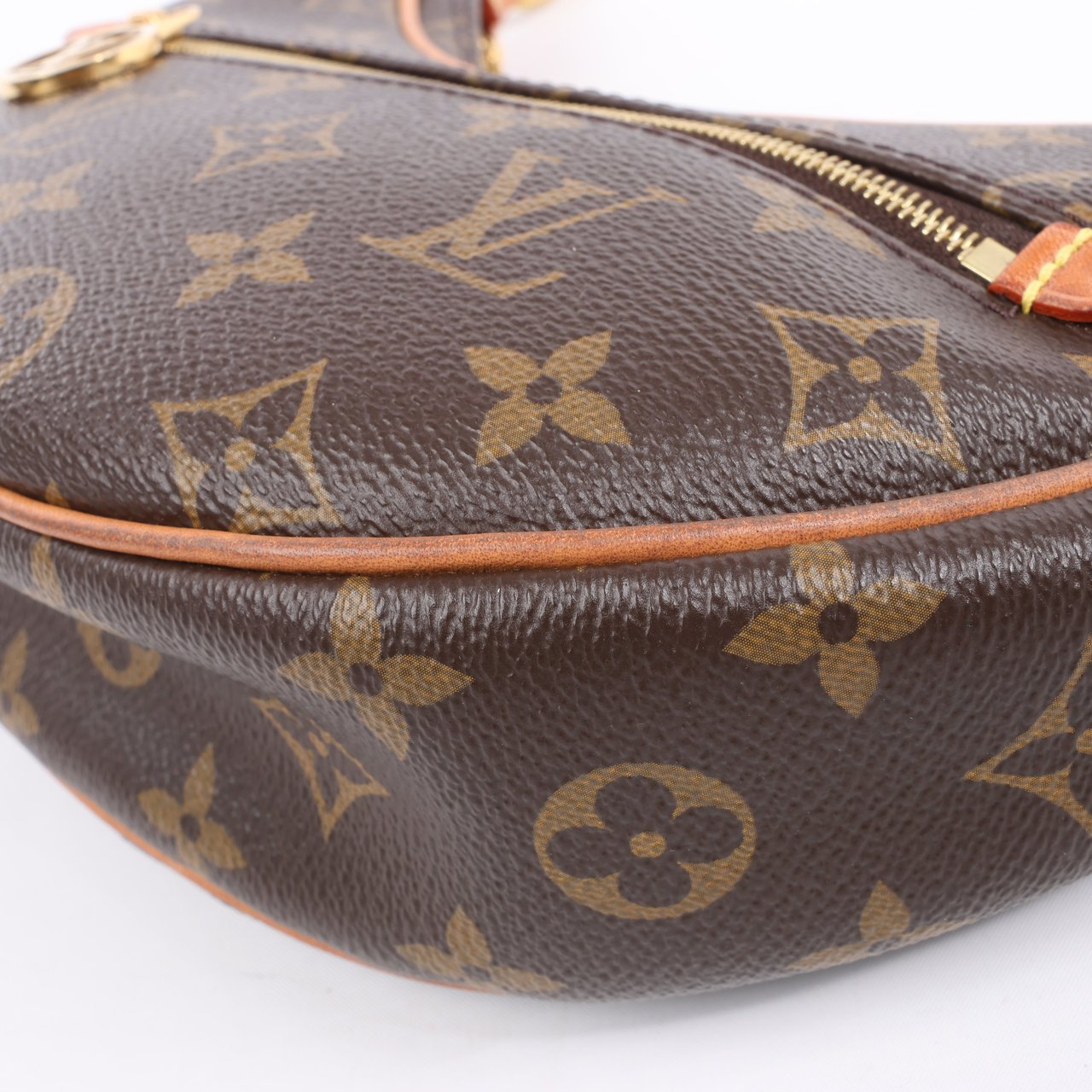 Louis Vuitton Louis Vuitton Monogram Loop Shoulder bag M81098 Bruin