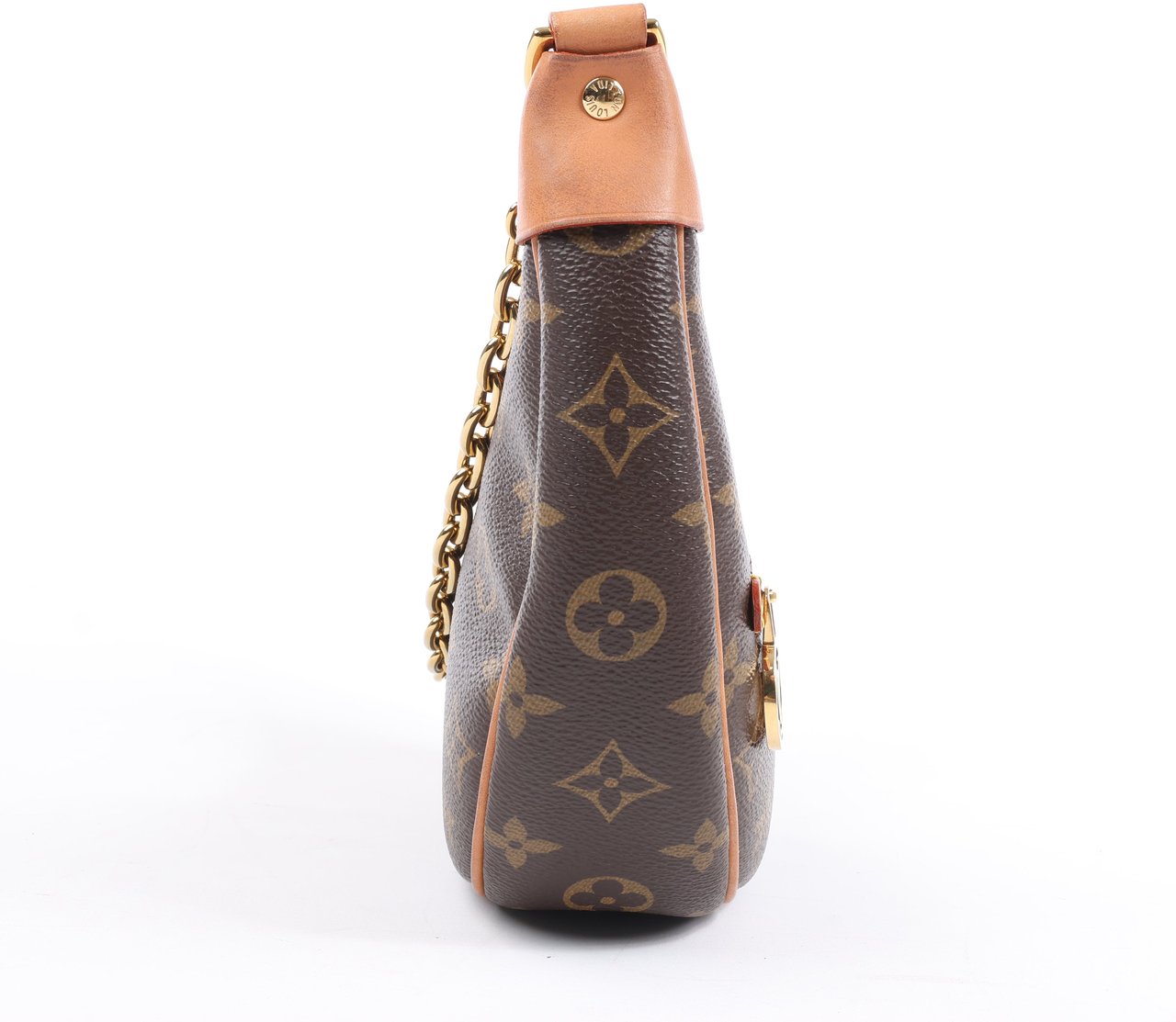 Louis Vuitton Louis Vuitton Monogram Loop Shoulder bag M81098 Bruin