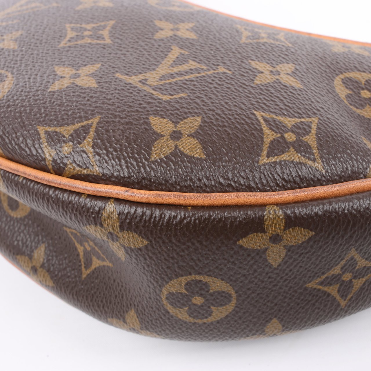 Louis Vuitton Louis Vuitton Monogram Loop Shoulder bag M81098 Bruin