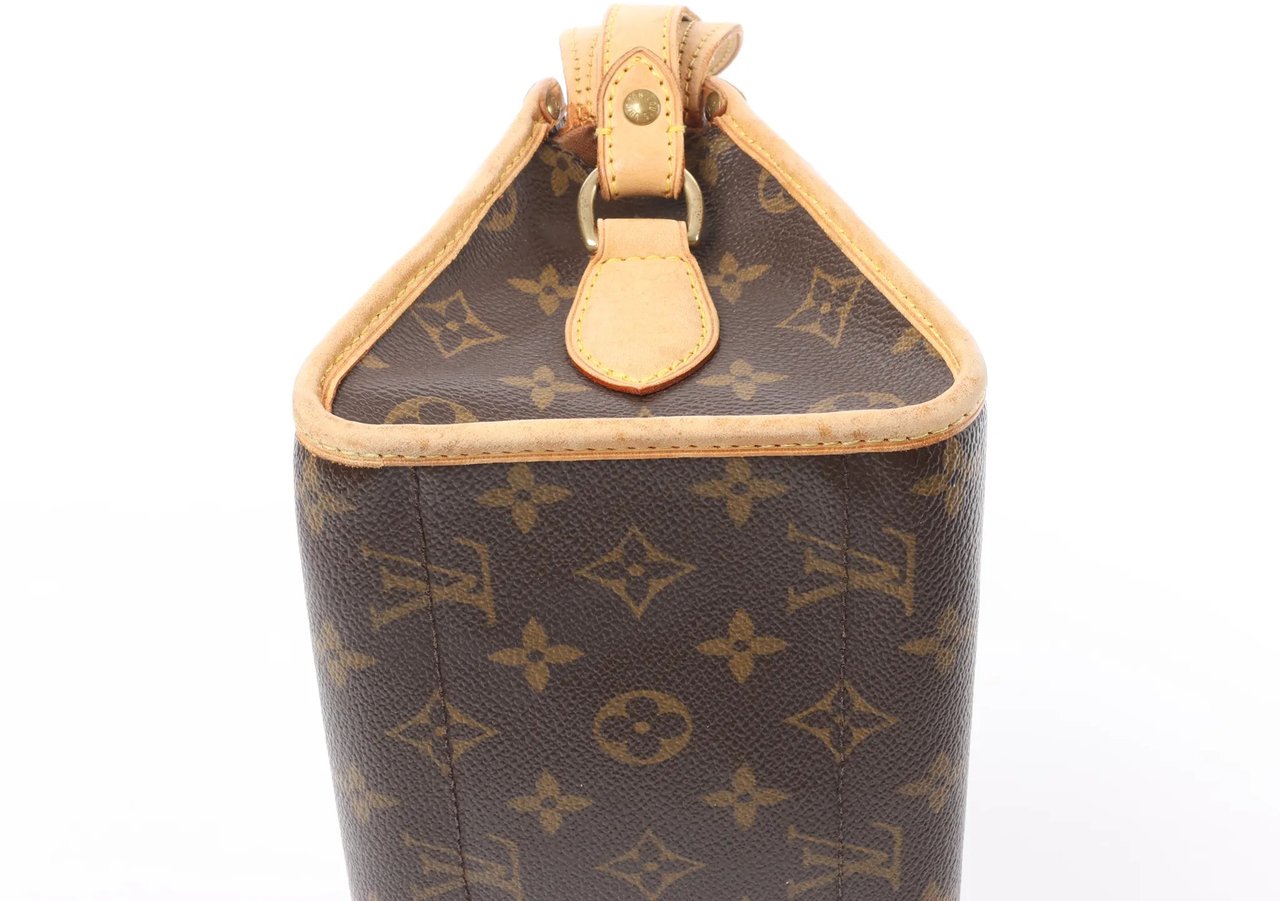 Louis Vuitton Popincourt Long Monogram Crossbody Bag M40008 Bruin