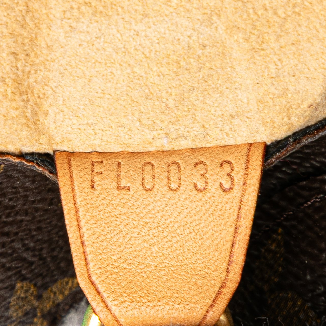 Louis Vuitton Monogram Luco Bruin
