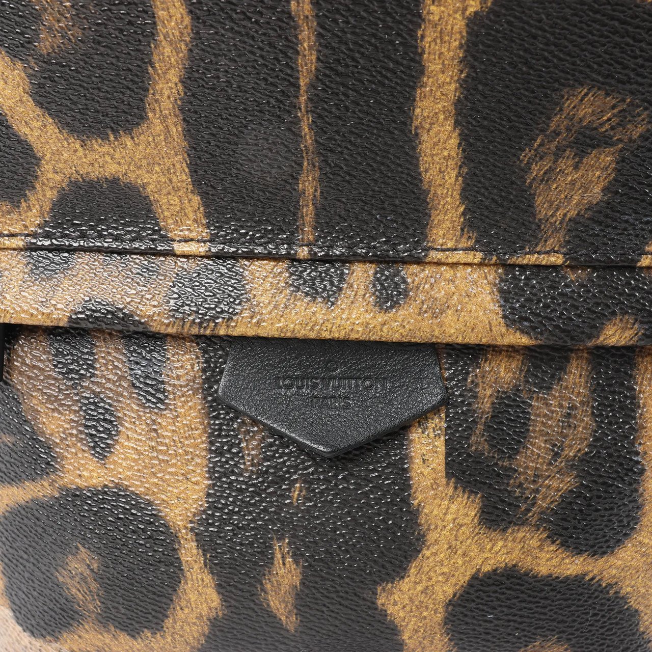 Louis Vuitton Palm Springs PM Animal Print Backpack in Brown x Black M52020 Divers