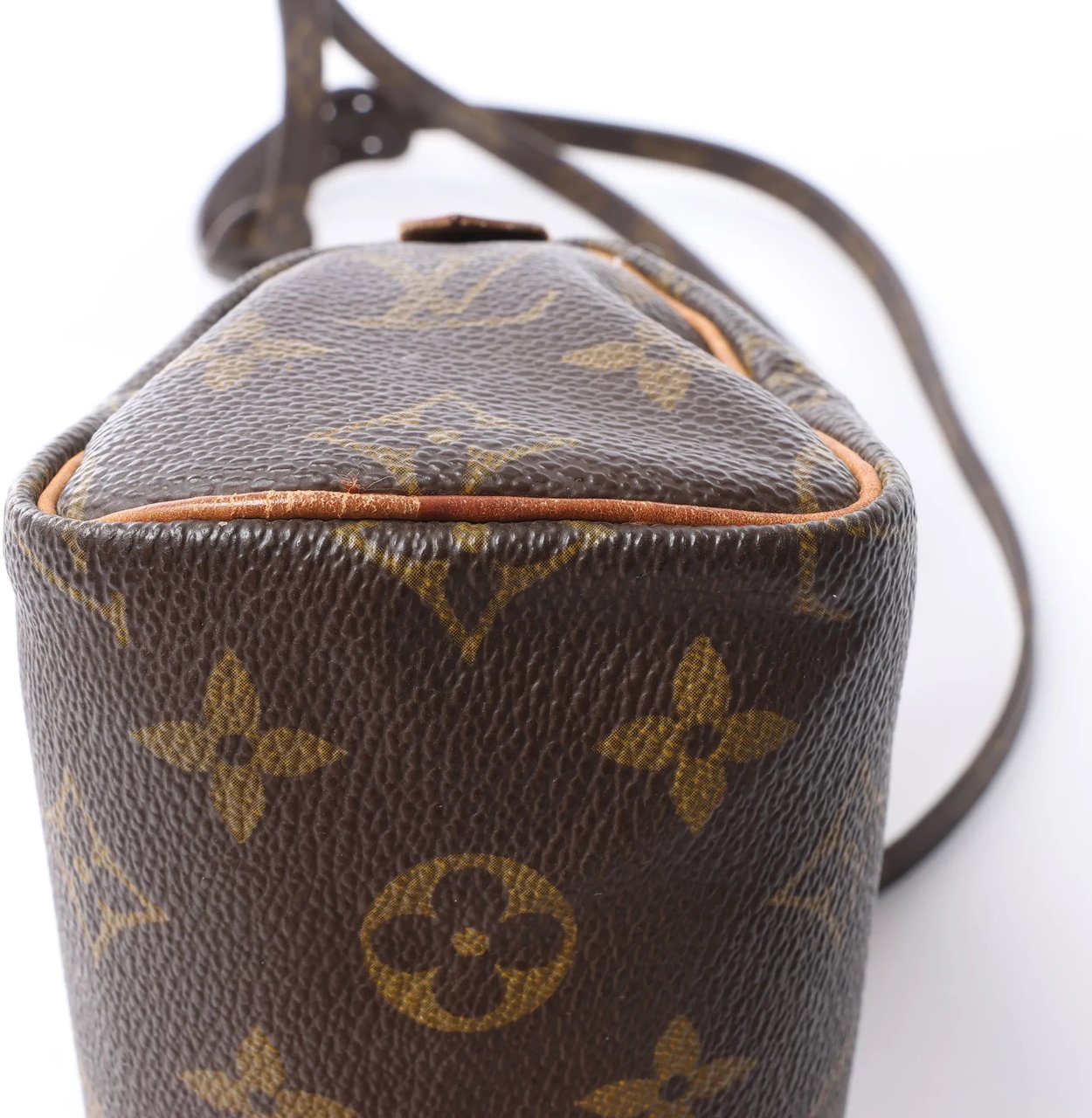Louis Vuitton Speedy Nano Monogram 2Way Handbag in Brown M41534 Bruin