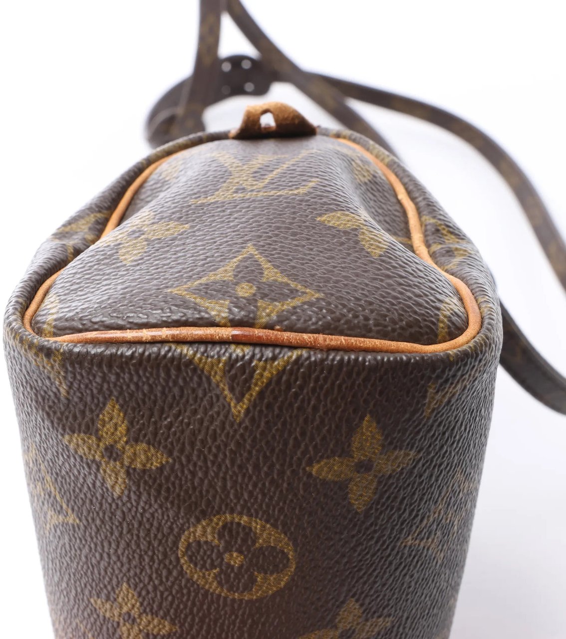 Louis Vuitton Speedy Nano Monogram 2Way Handbag in Brown M41534 Bruin