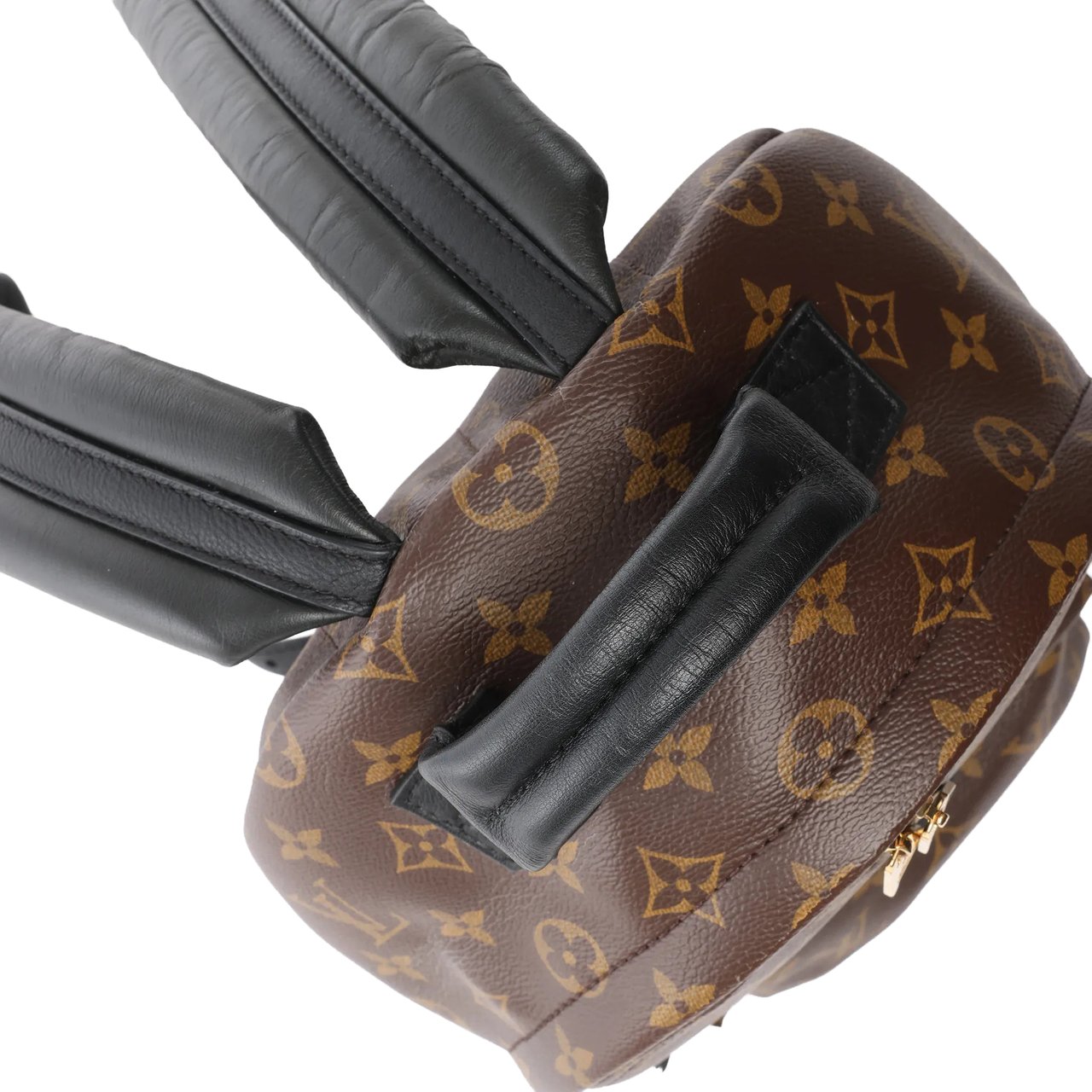 Louis Vuitton Palm Springs PM Monogram Backpack in Brown M41560 Bruin