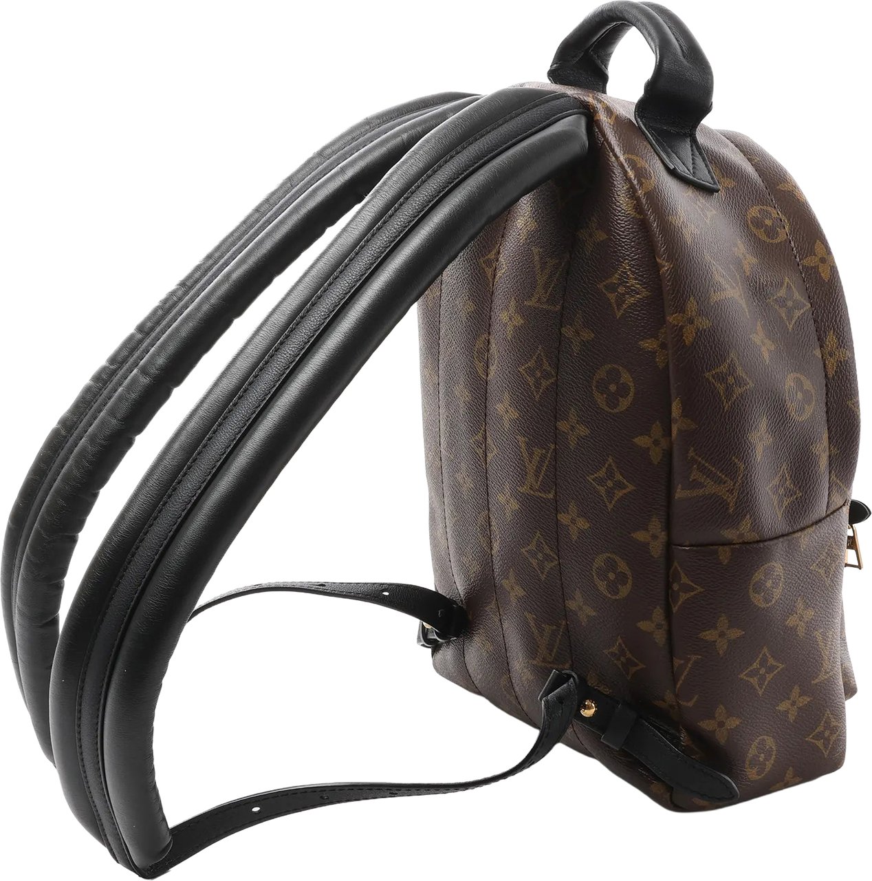 Louis Vuitton Palm Springs PM Monogram Backpack in Brown M41560 Bruin