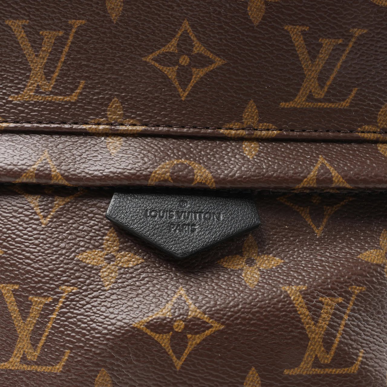 Louis Vuitton Palm Springs PM Monogram Backpack in Brown M41560 Bruin