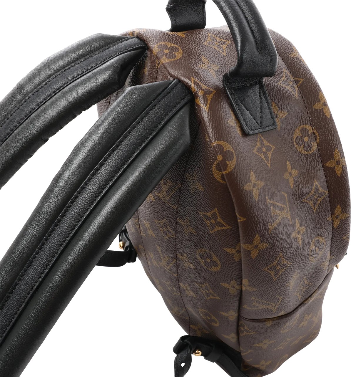 Louis Vuitton Palm Springs PM Monogram Backpack in Brown M41560 Bruin