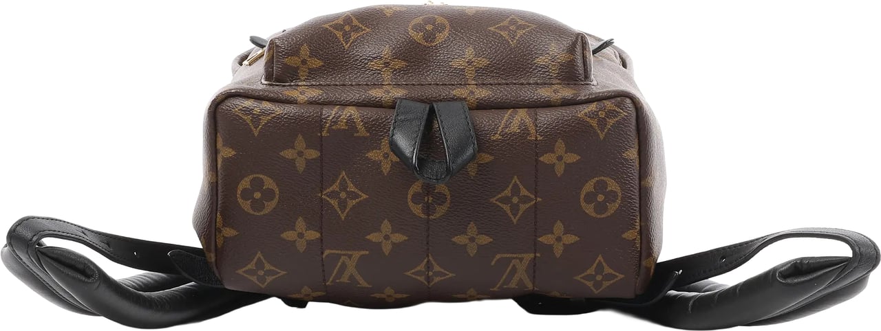 Louis Vuitton Palm Springs PM Monogram Backpack in Brown M41560 Bruin