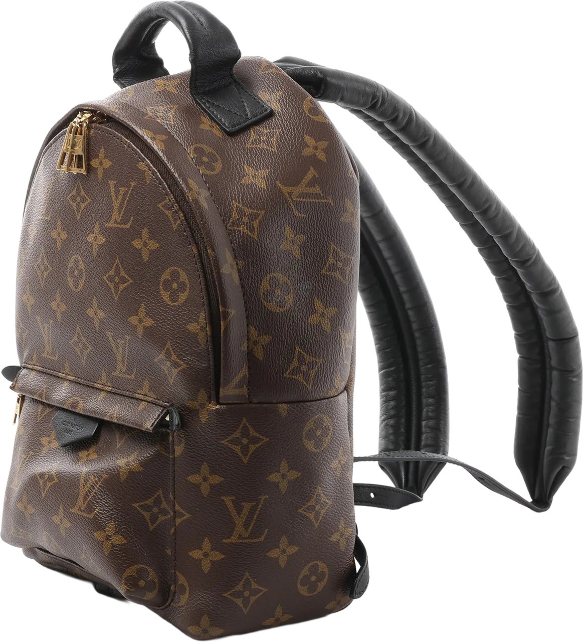 Louis Vuitton Palm Springs PM Monogram Backpack in Brown M41560 Bruin