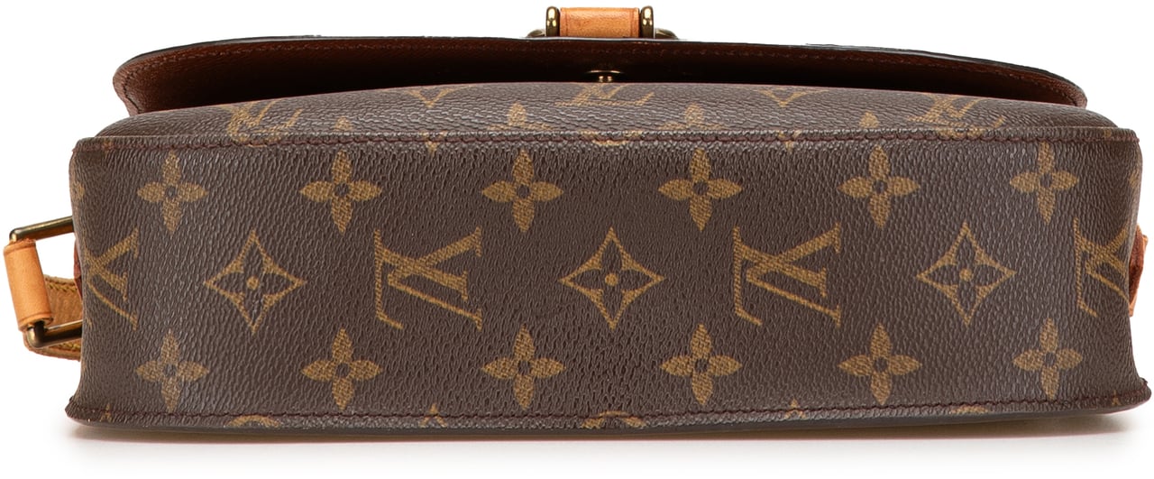 Louis Vuitton Monogram Saint Cloud GM Bruin