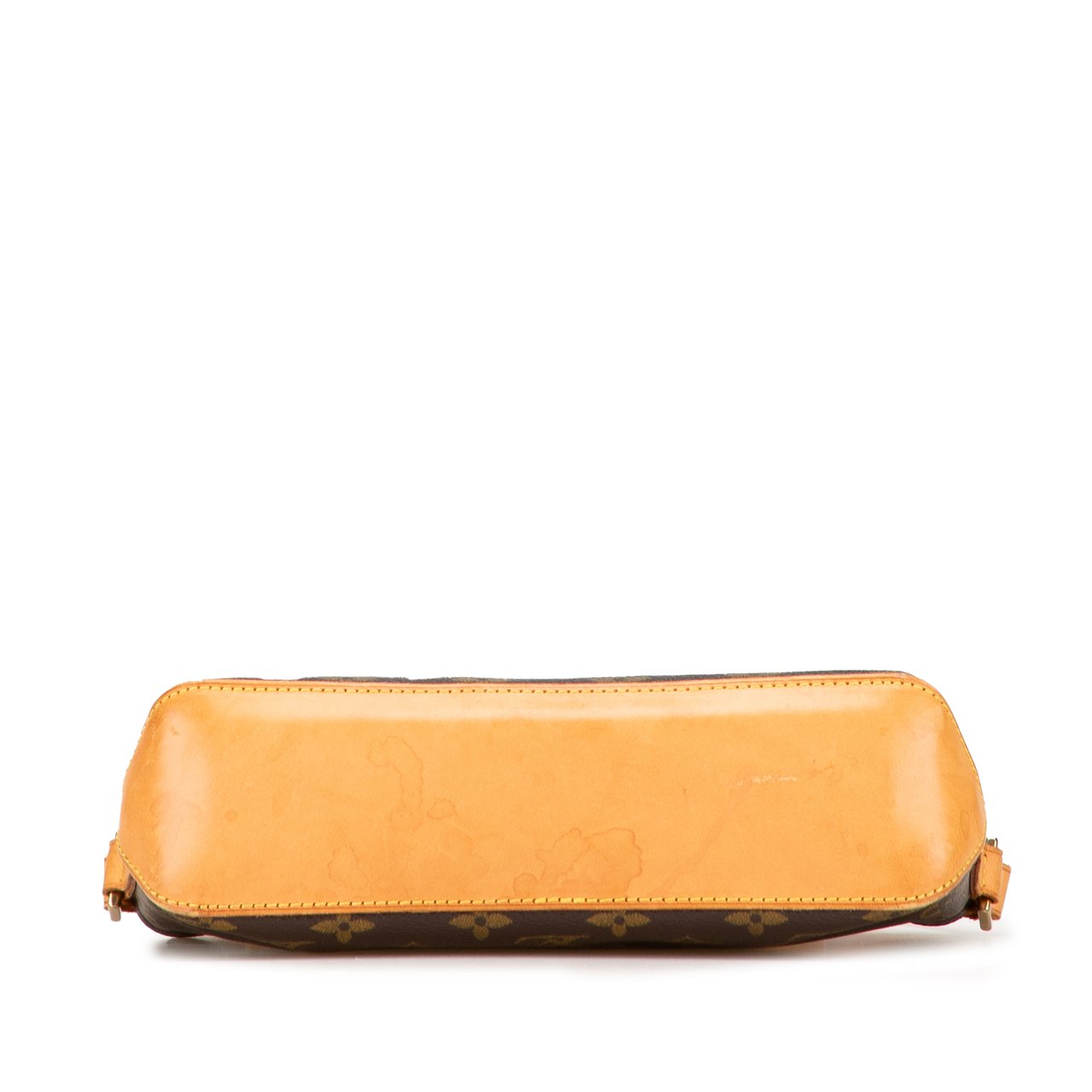 Louis Vuitton Monogram Trotteur Bruin