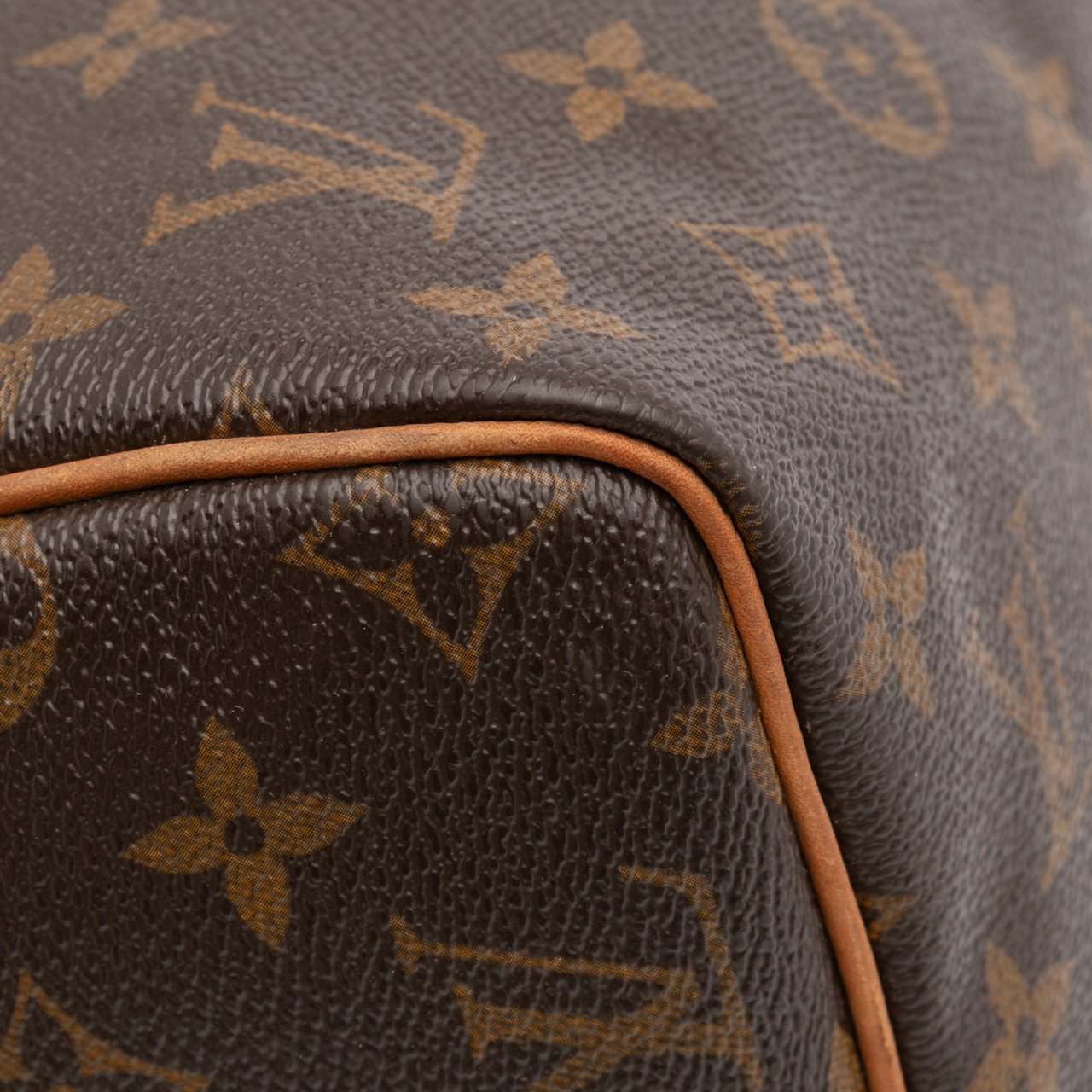 Louis Vuitton Monogram Speedy 30 Bruin
