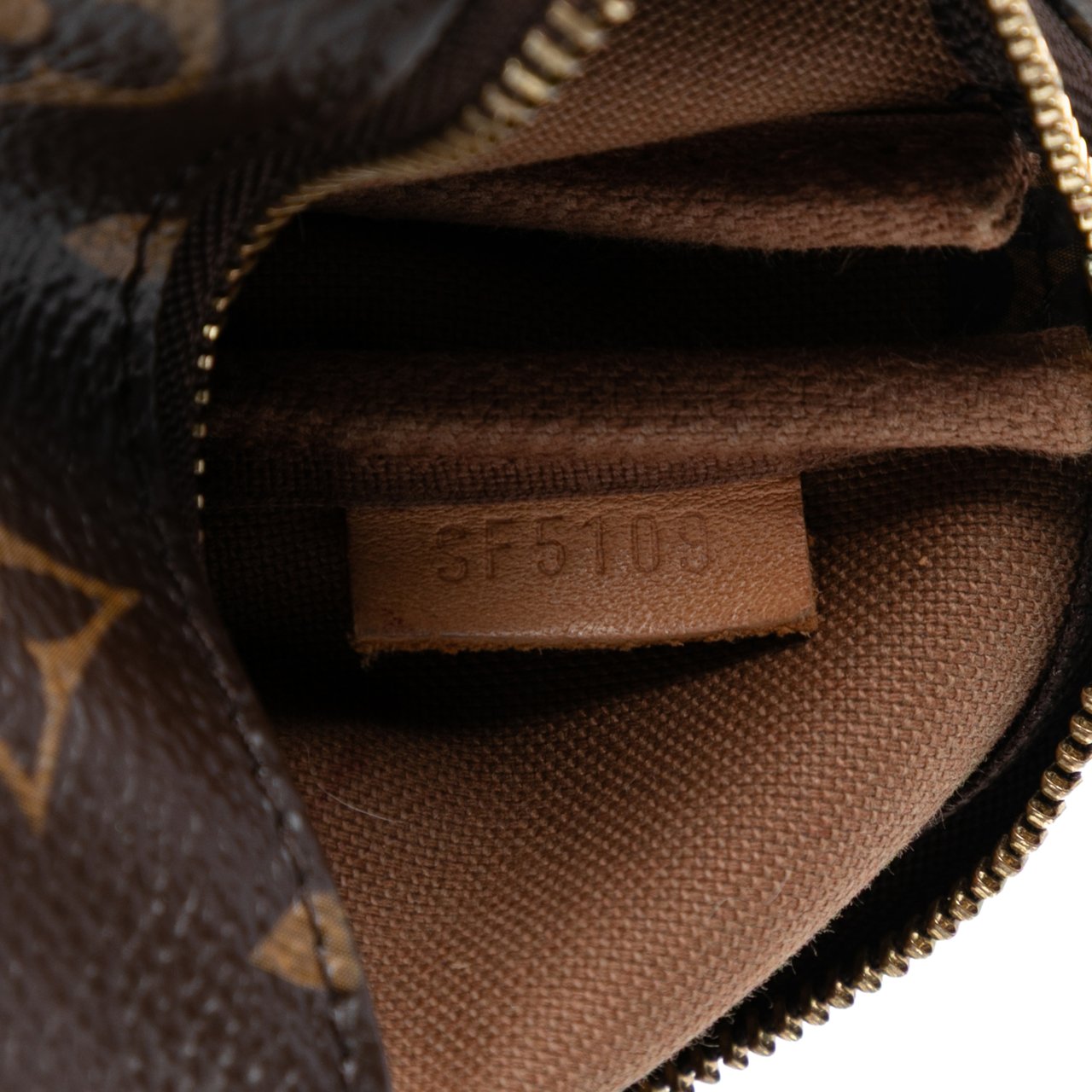 Louis Vuitton Monogram Mini Pochette Accessoires Bruin