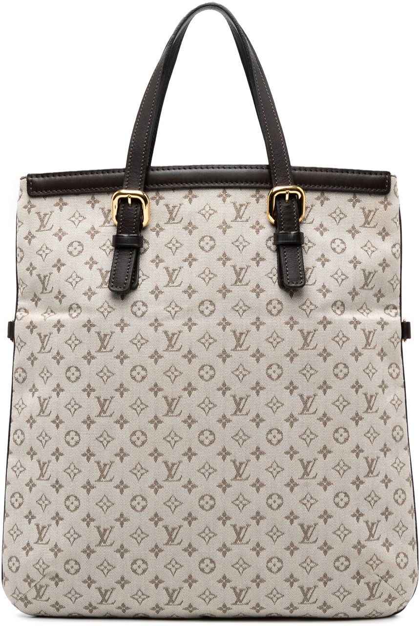Louis Vuitton Monogram Mini Lin Francoise Bruin