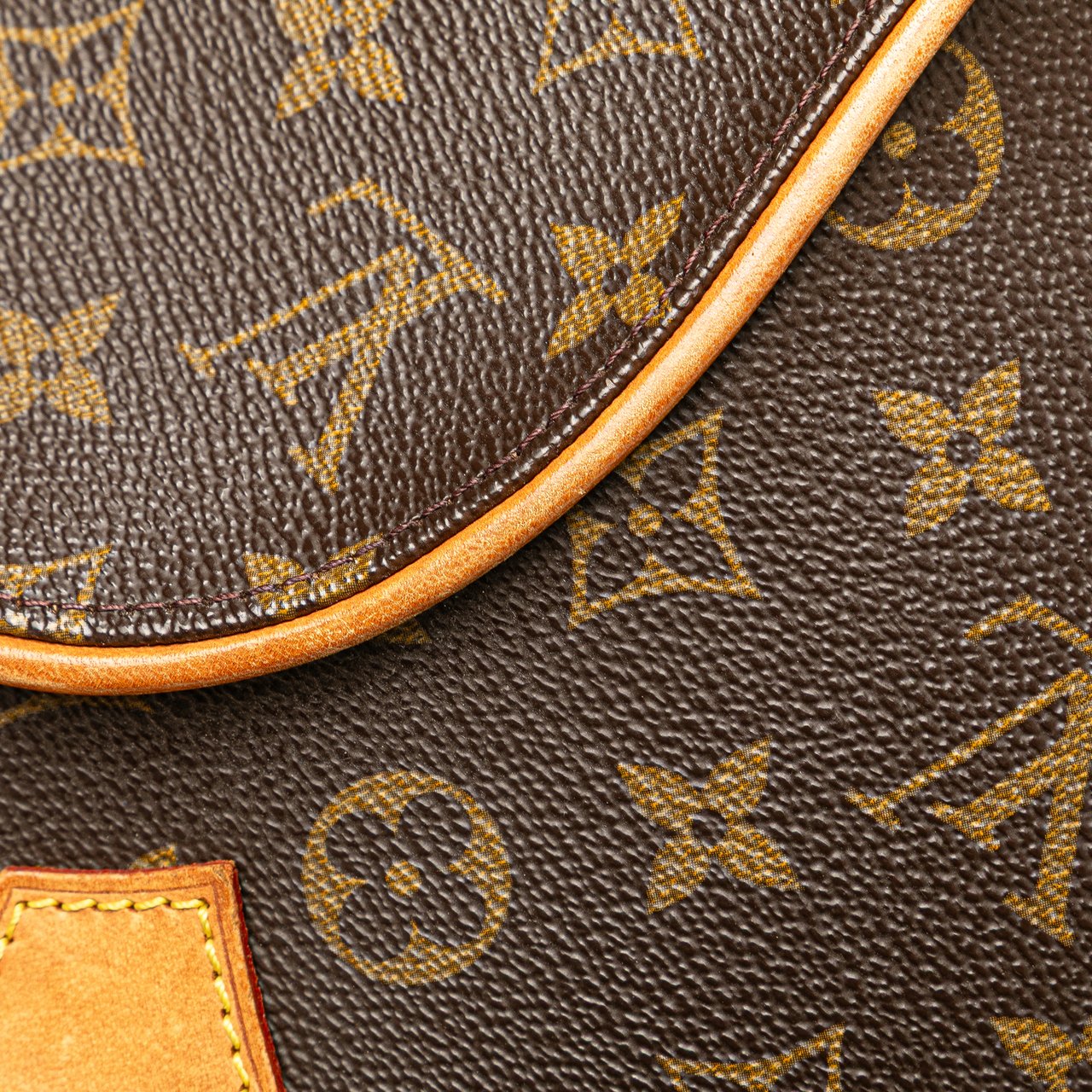 Louis Vuitton Monogram Ellipse PM Bruin