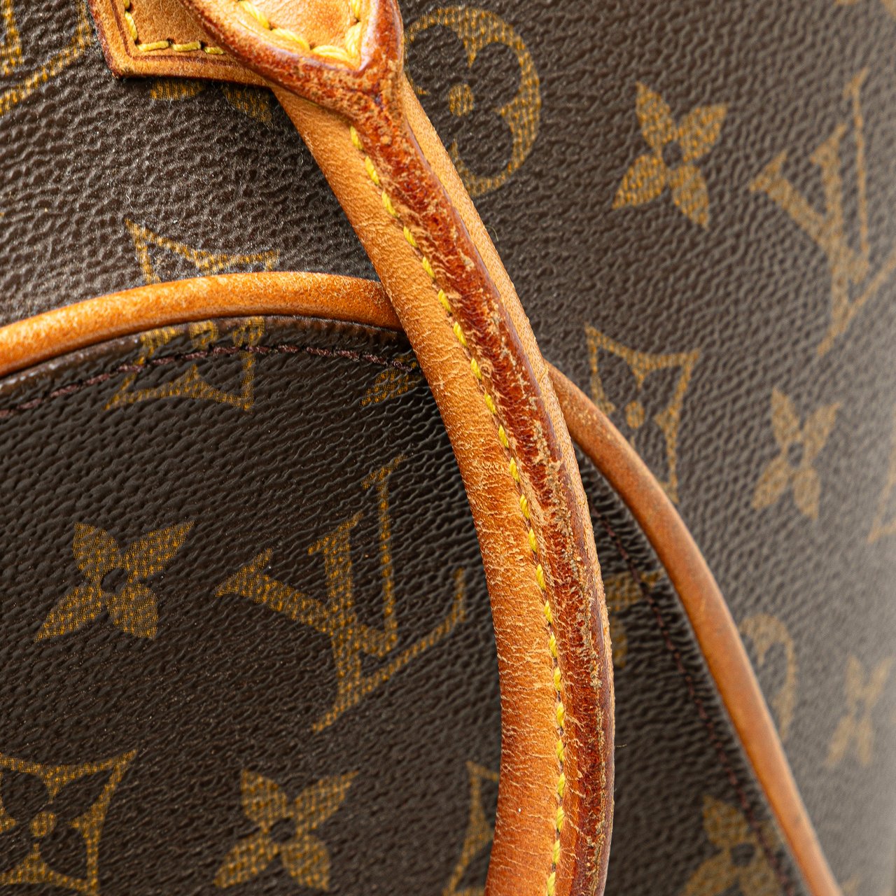 Louis Vuitton Monogram Ellipse PM Bruin