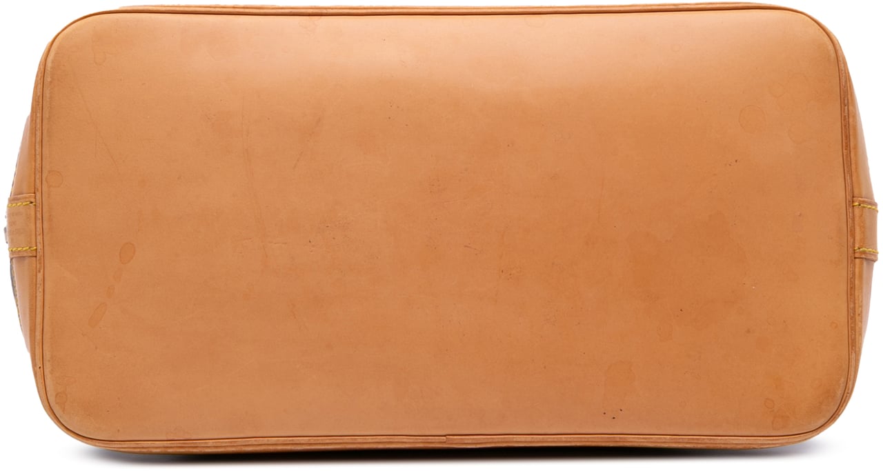 Louis Vuitton Monogram Alma PM Bruin